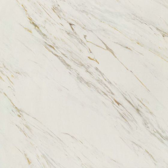 在线教育项目展示